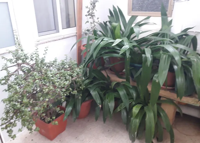 Estrella Ραμπάτ